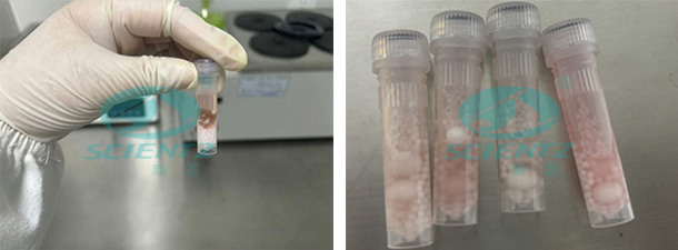 undefined 實驗前后對比圖